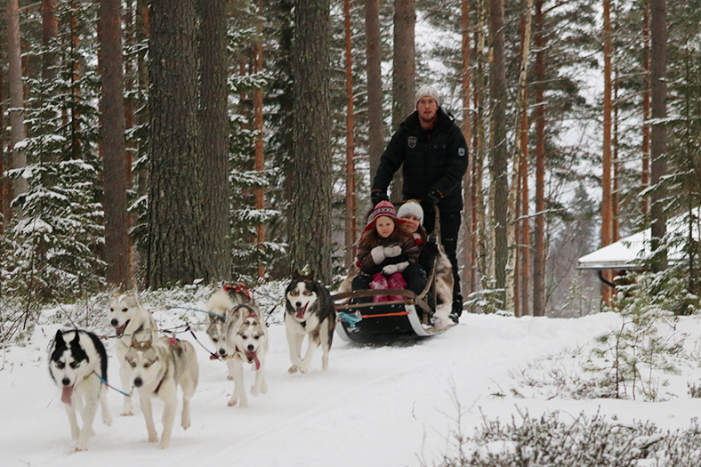 Husky-Schlittenfahrt in finland