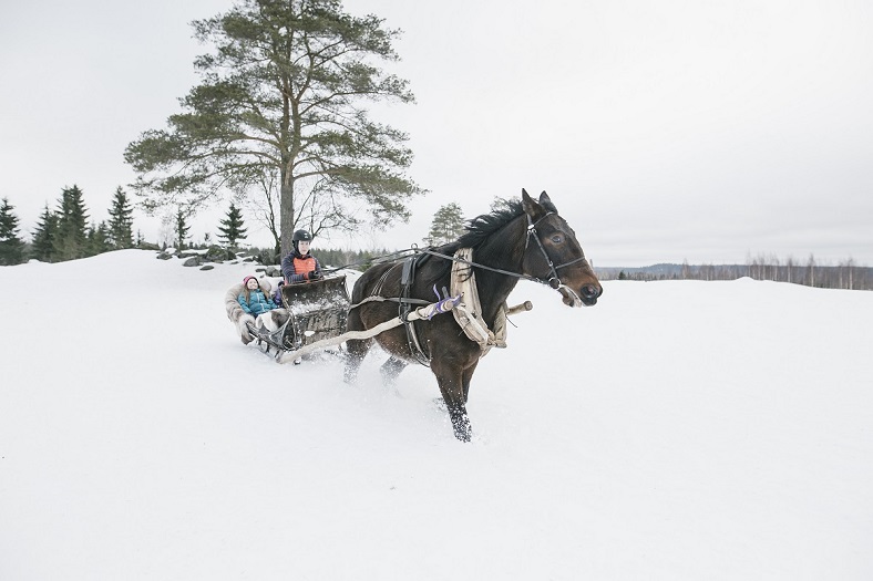 sleigh ride finland