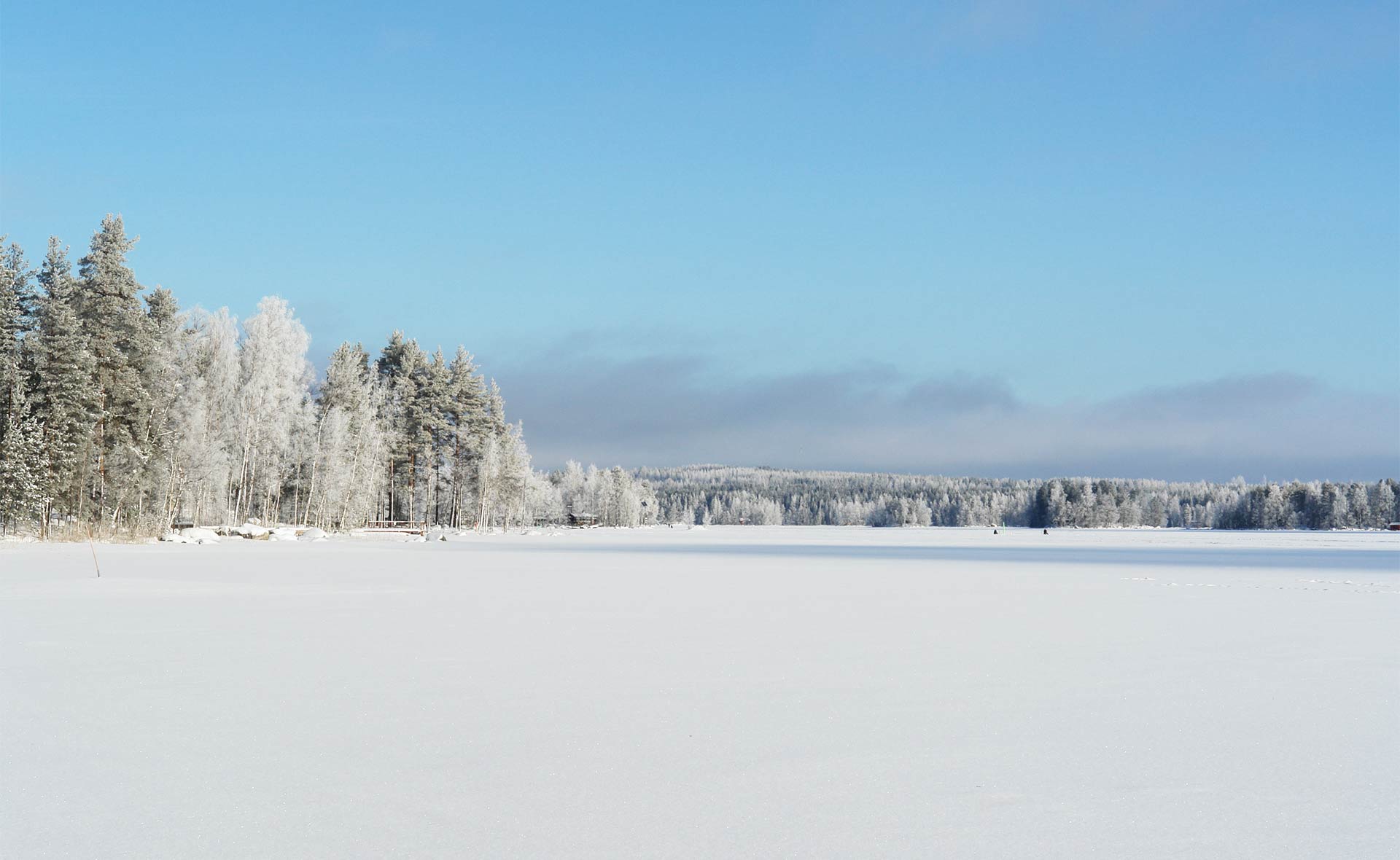 коттеджи в финляндии на новый год